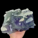 specimen video
