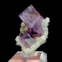 specimen video