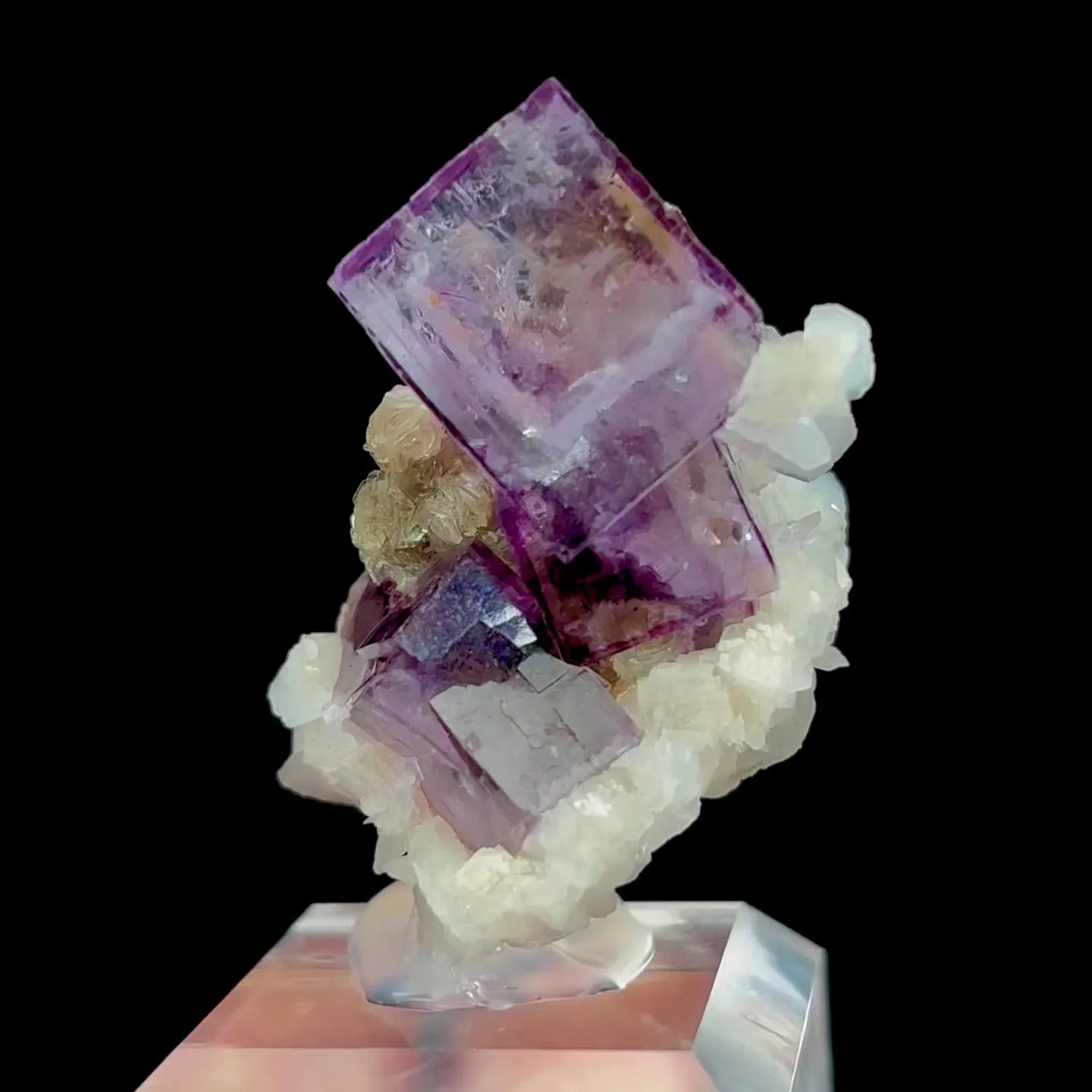 specimen video