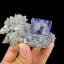 Natural Purple Cubic Fluorite and Clear Quartz Clusters Symbiosis comes from Yaogangxian,Hunan - image 4