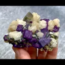 specimen video
