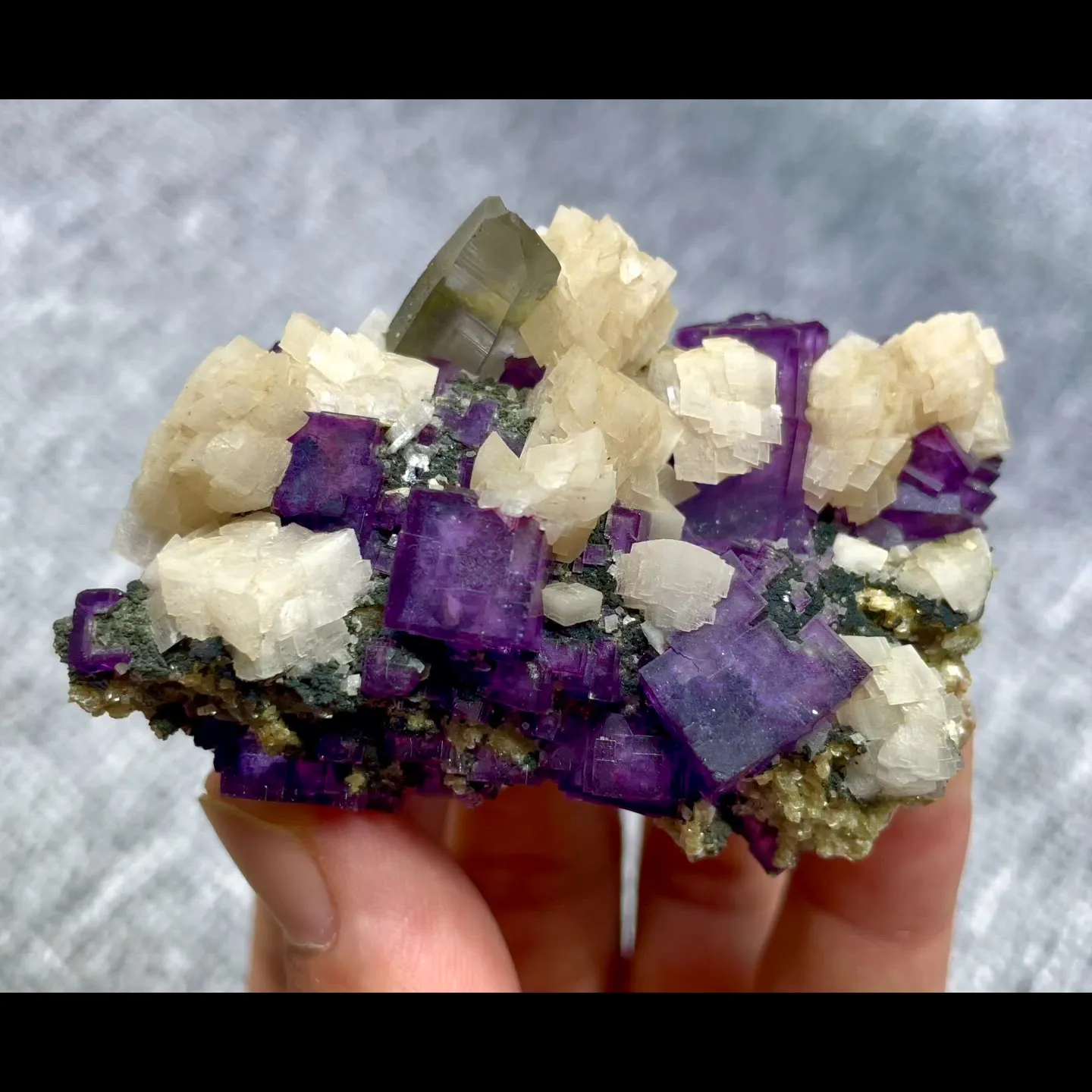 specimen video
