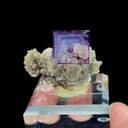 specimen video