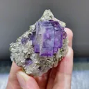 Natural Purple Cubic Fluorite and Mica Symbiosis comes from Yaogangxian,Hunan 55*50*30MM - image 2