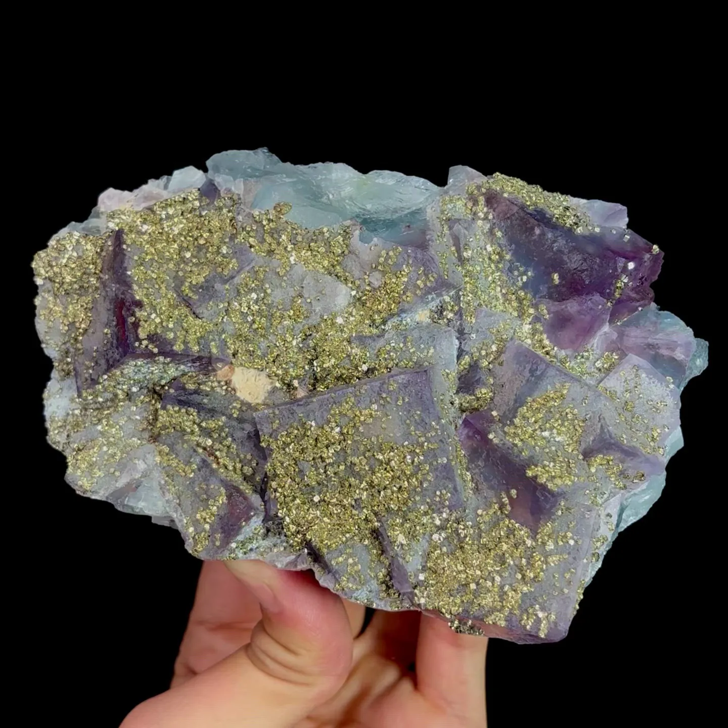 specimen video