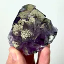 specimen video