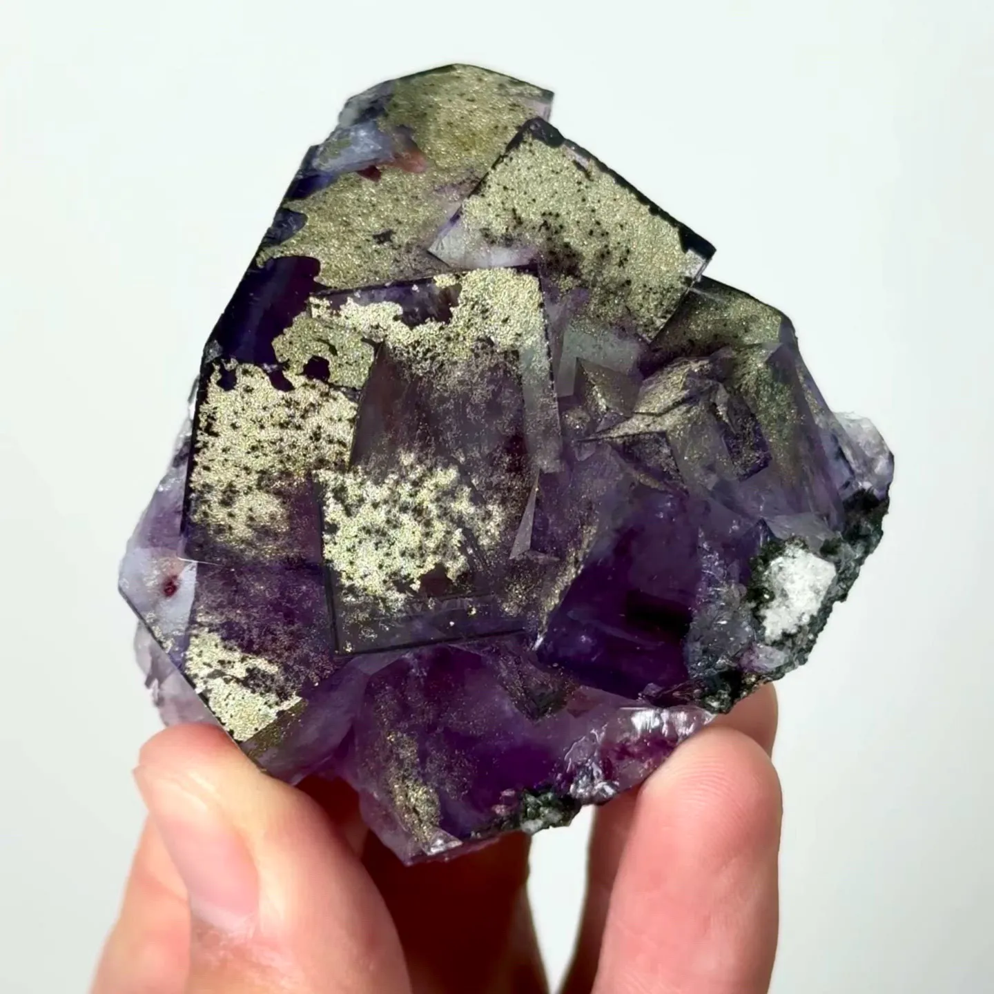 specimen video