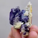 Natural Purple Cubic Fluorite and Pyrite Symbiosis comes from Yaogangxian,Hunan 50*30*30MM - image 5