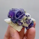 Natural Purple Cubic Fluorite and Pyrite Symbiosis comes from Yaogangxian,Hunan 50*30*30MM - image 6