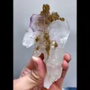 specimen video