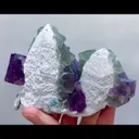 specimen video