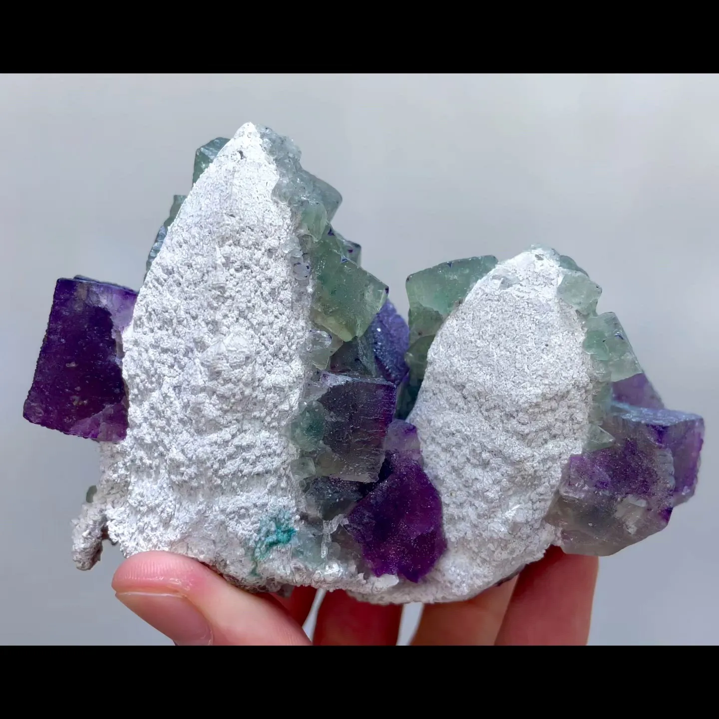 specimen video