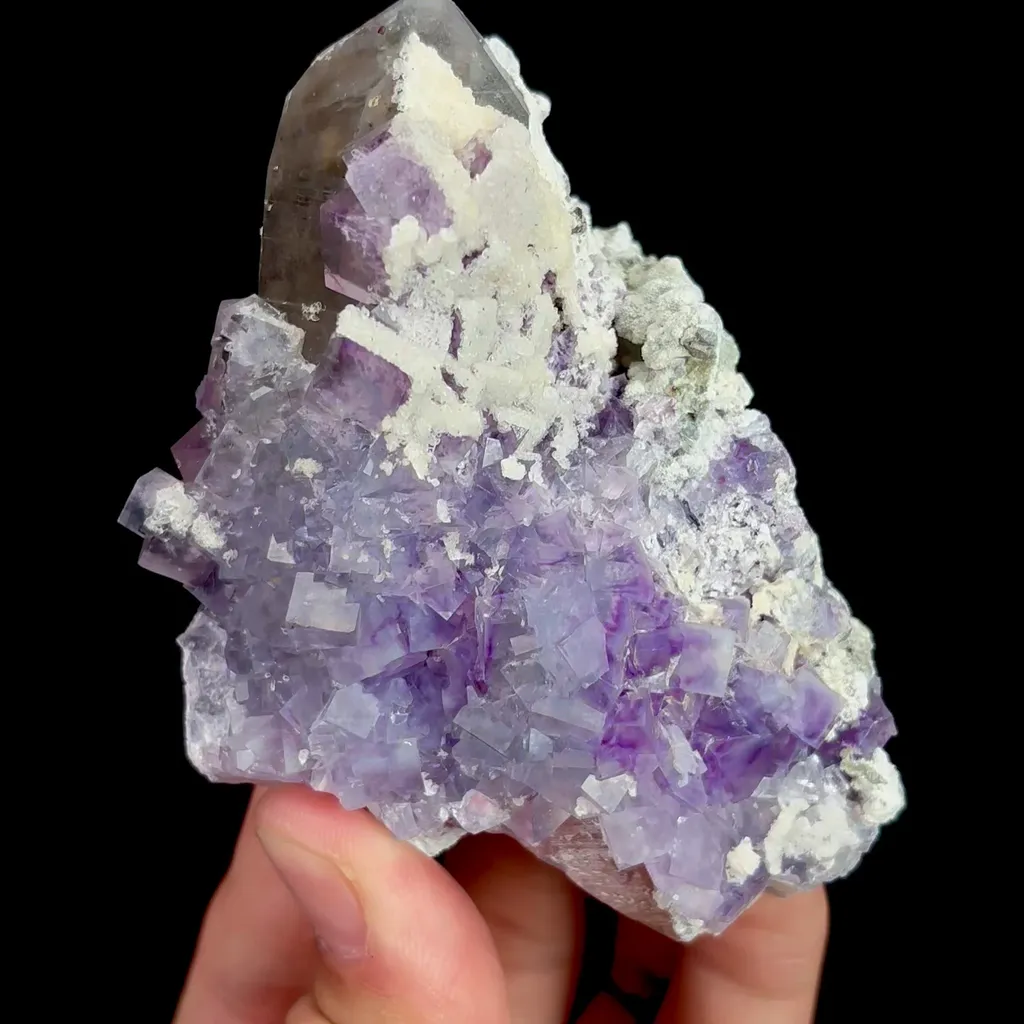 specimen video