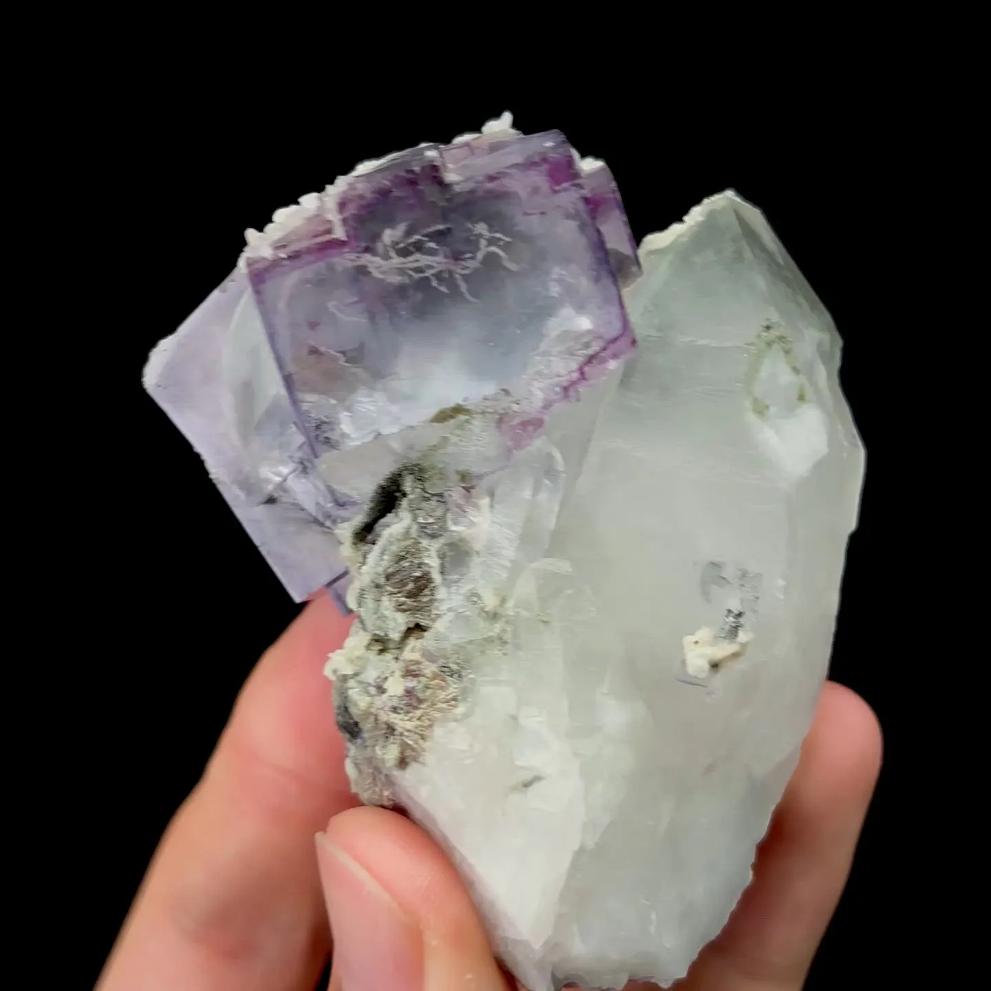 specimen video