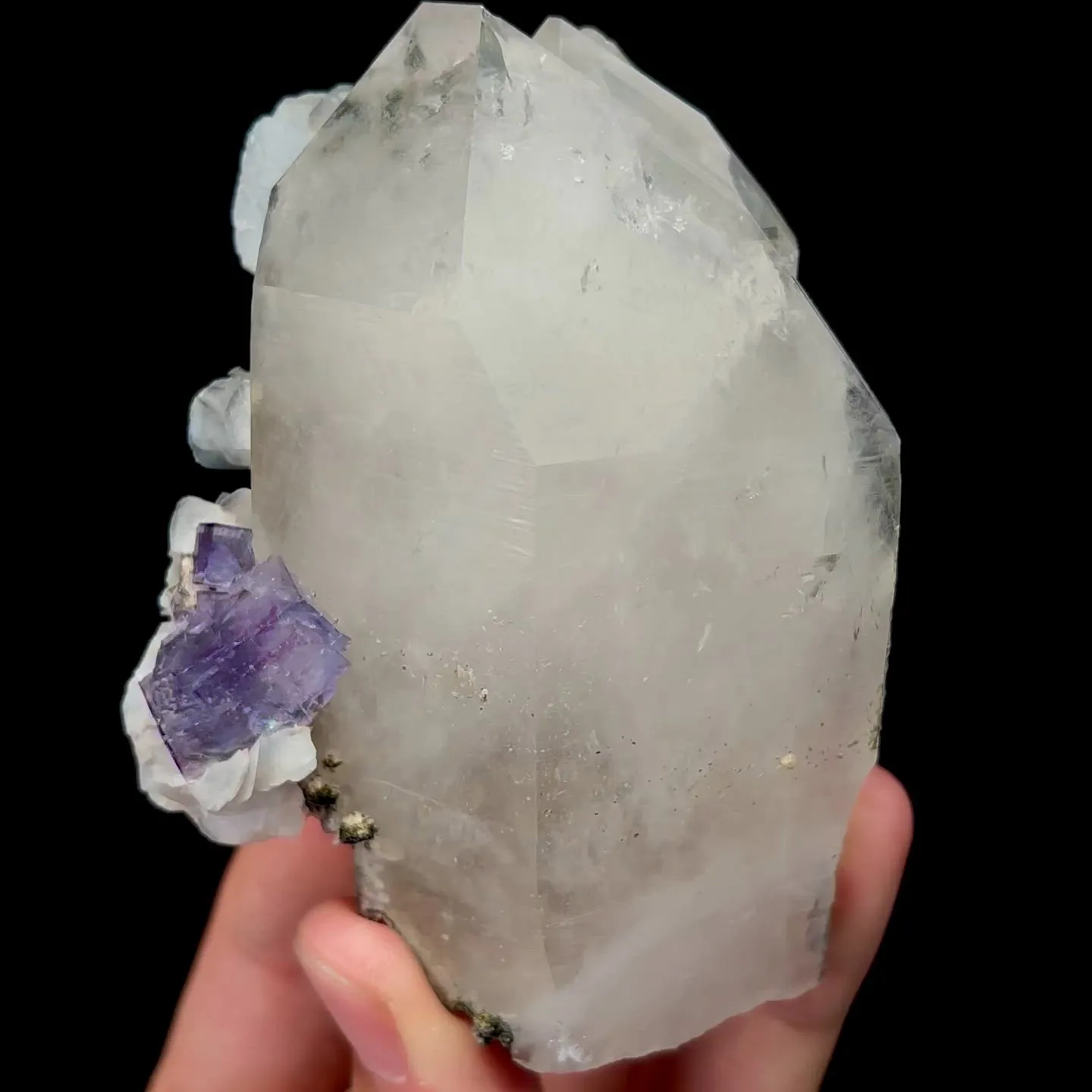 specimen video
