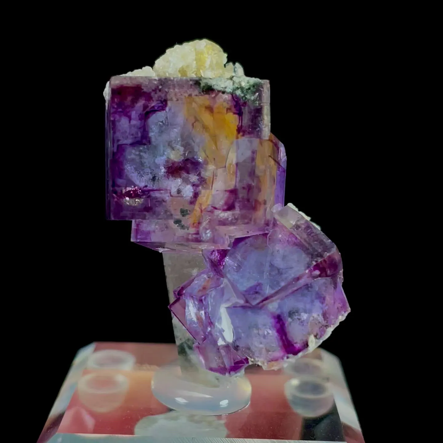 specimen video