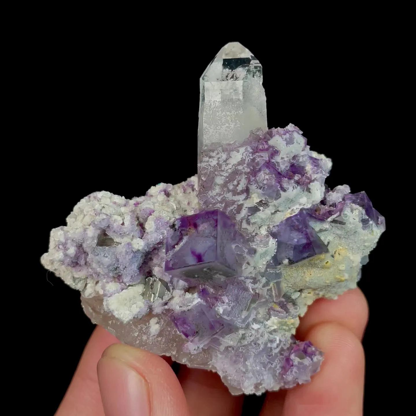 specimen video