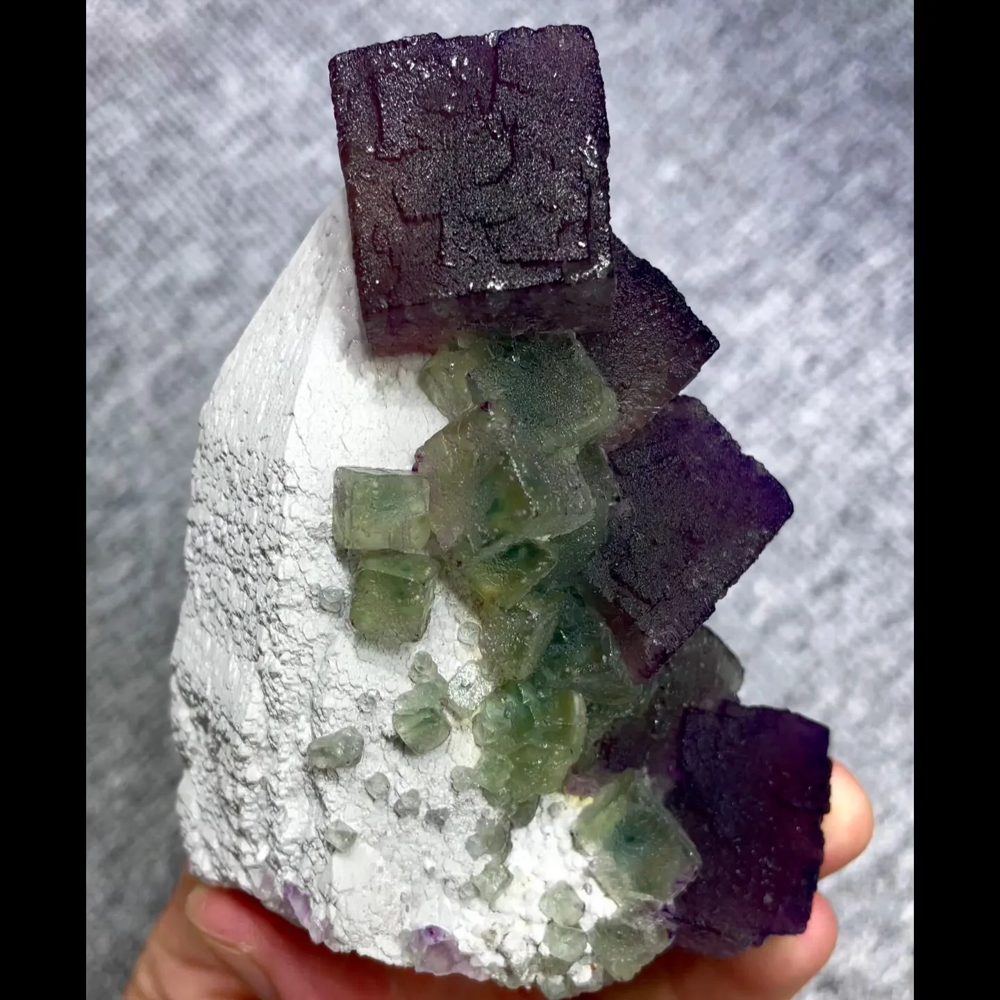 specimen video