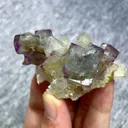 specimen video