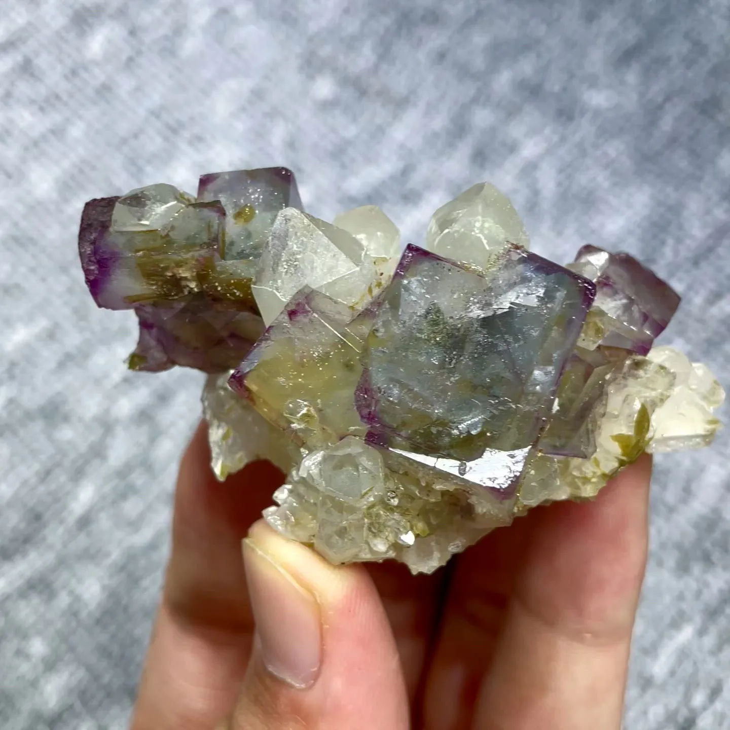 specimen video