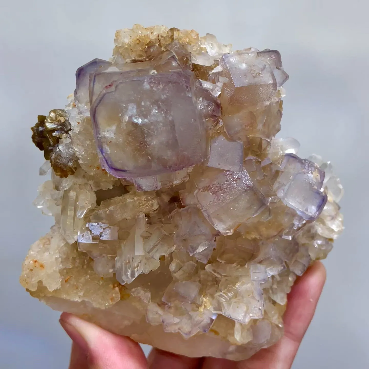 specimen video