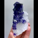 specimen video