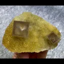 specimen video