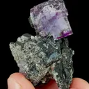 Natural Purple Cubic Fluorite and Wolframite, Mineral Specimen: Yaogangxian,Hunan (30*40*25MM) - image 4