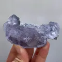 specimen video