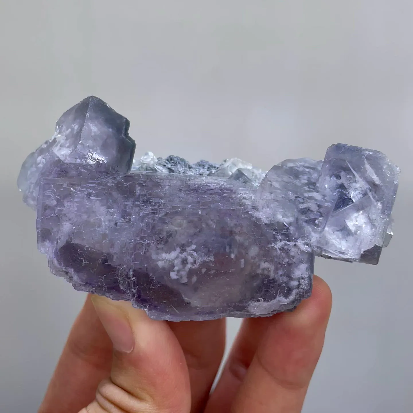 specimen video