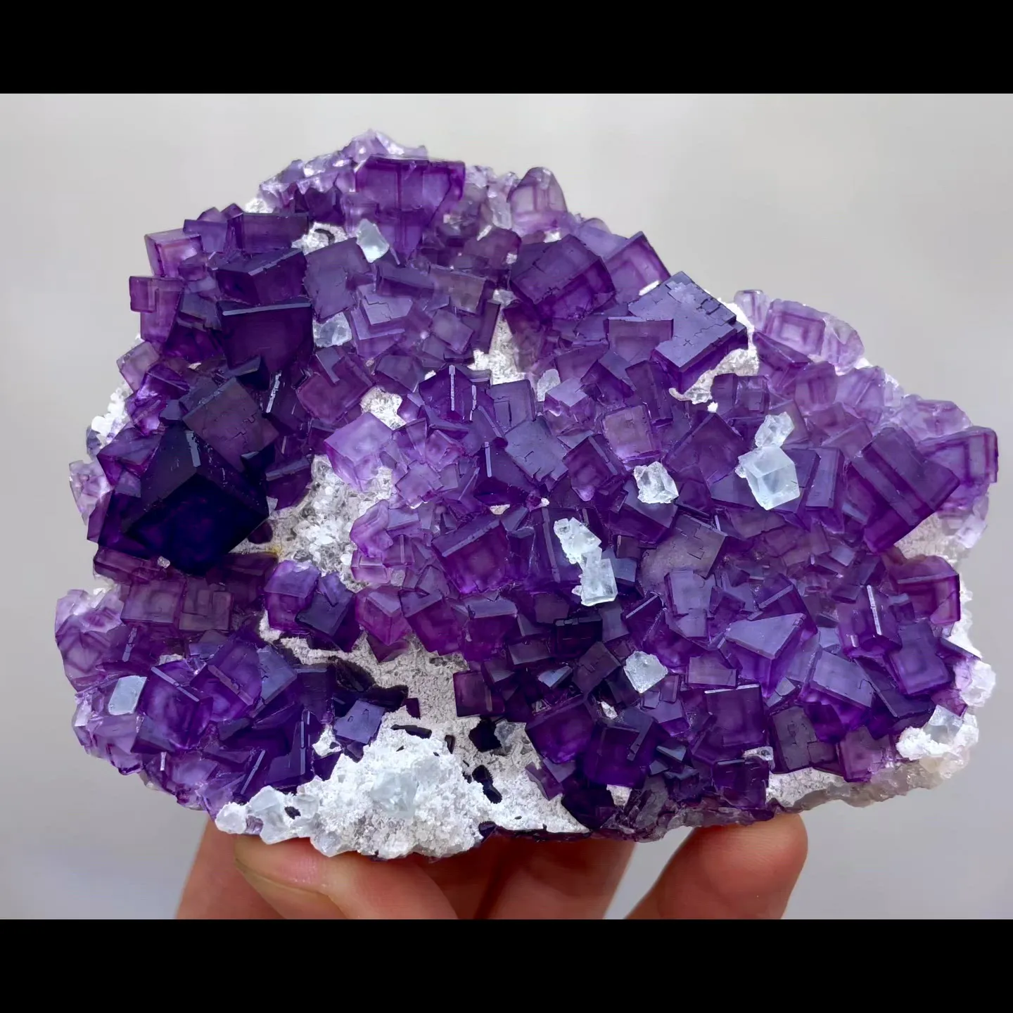 specimen video