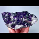 specimen video