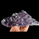 specimen video