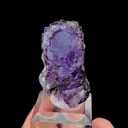 specimen video