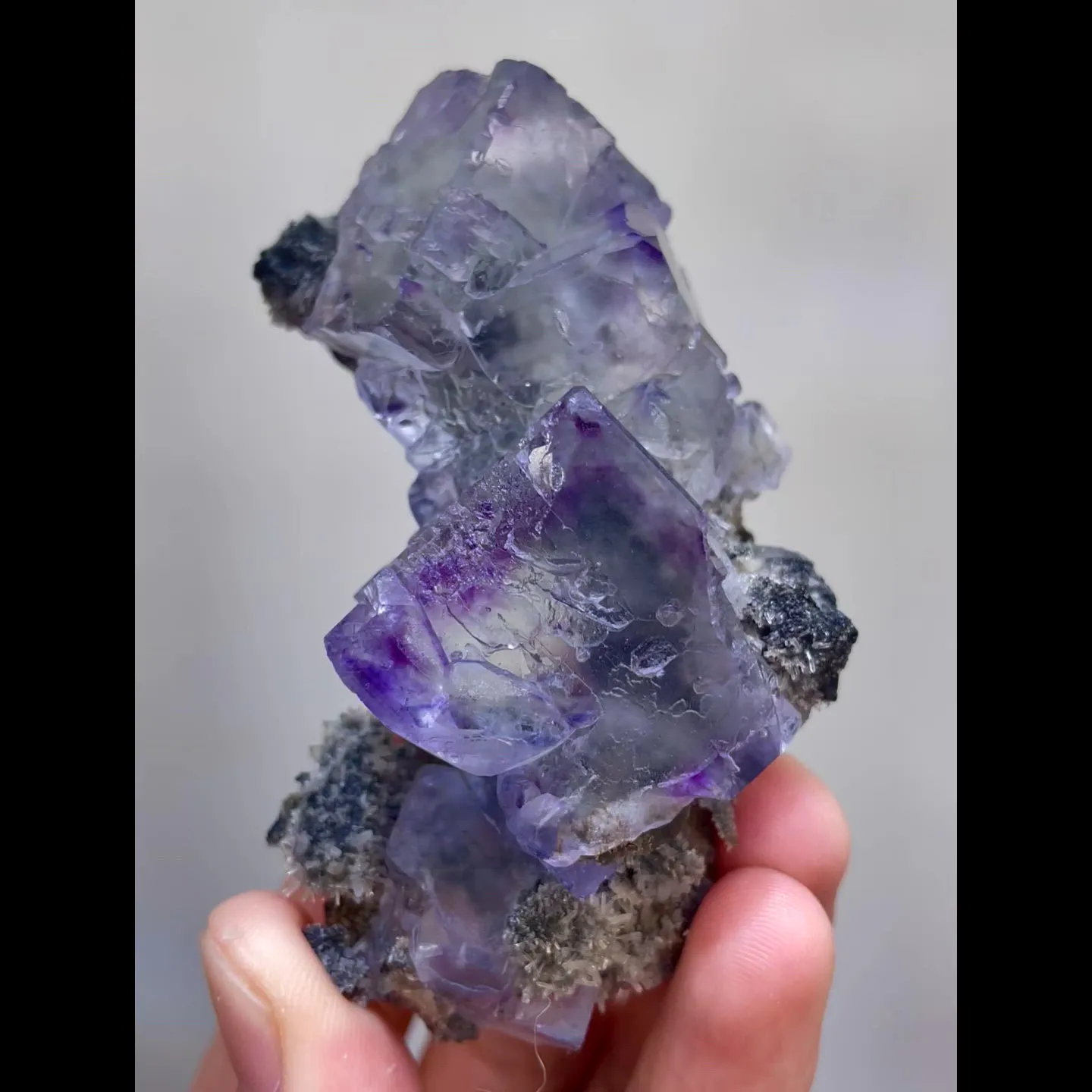 specimen video