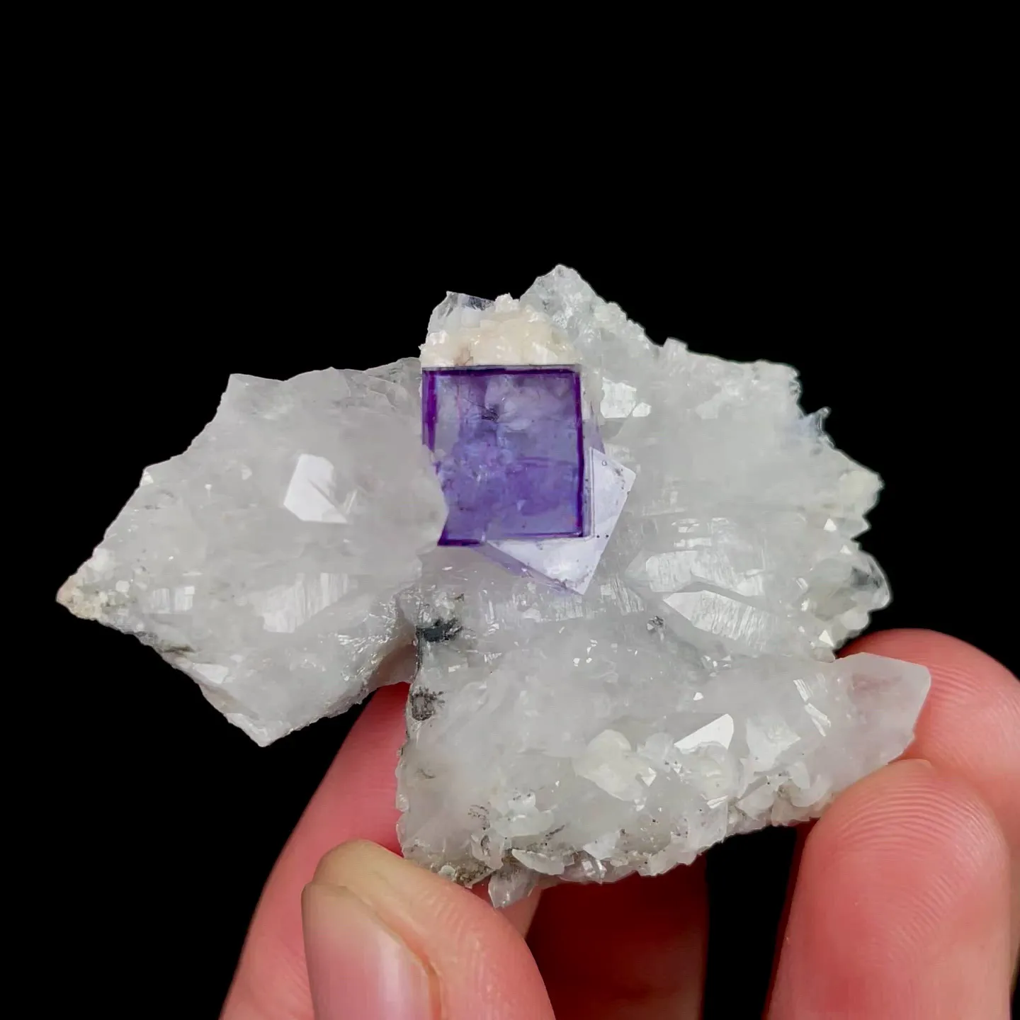specimen video