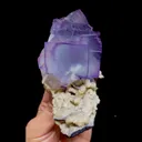 specimen video