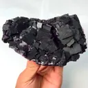 specimen video