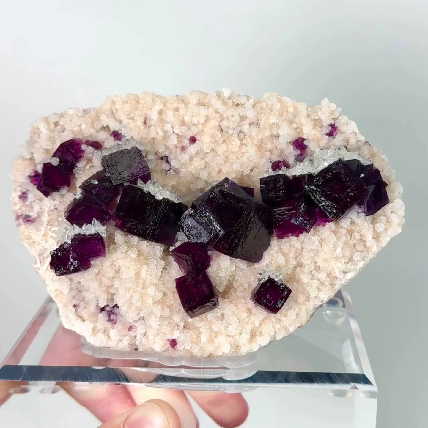 specimen video