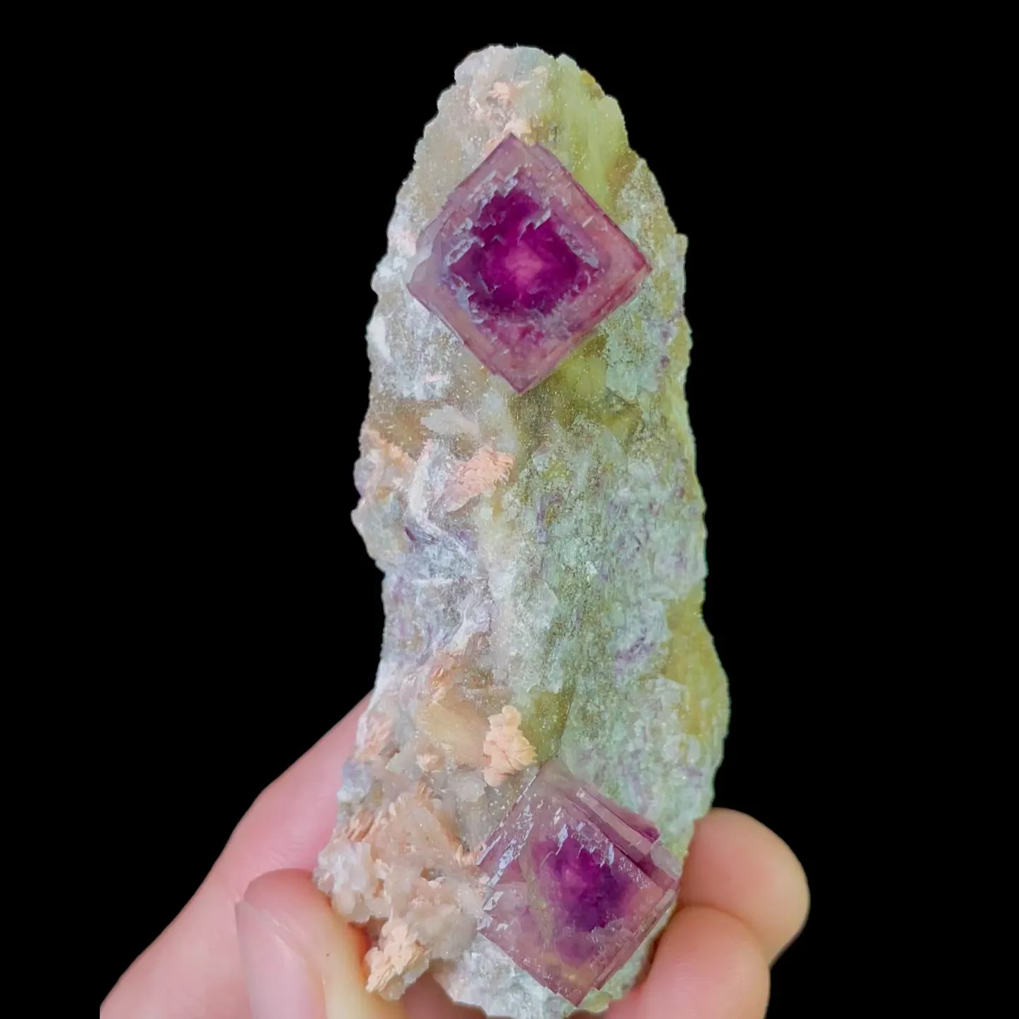 specimen video