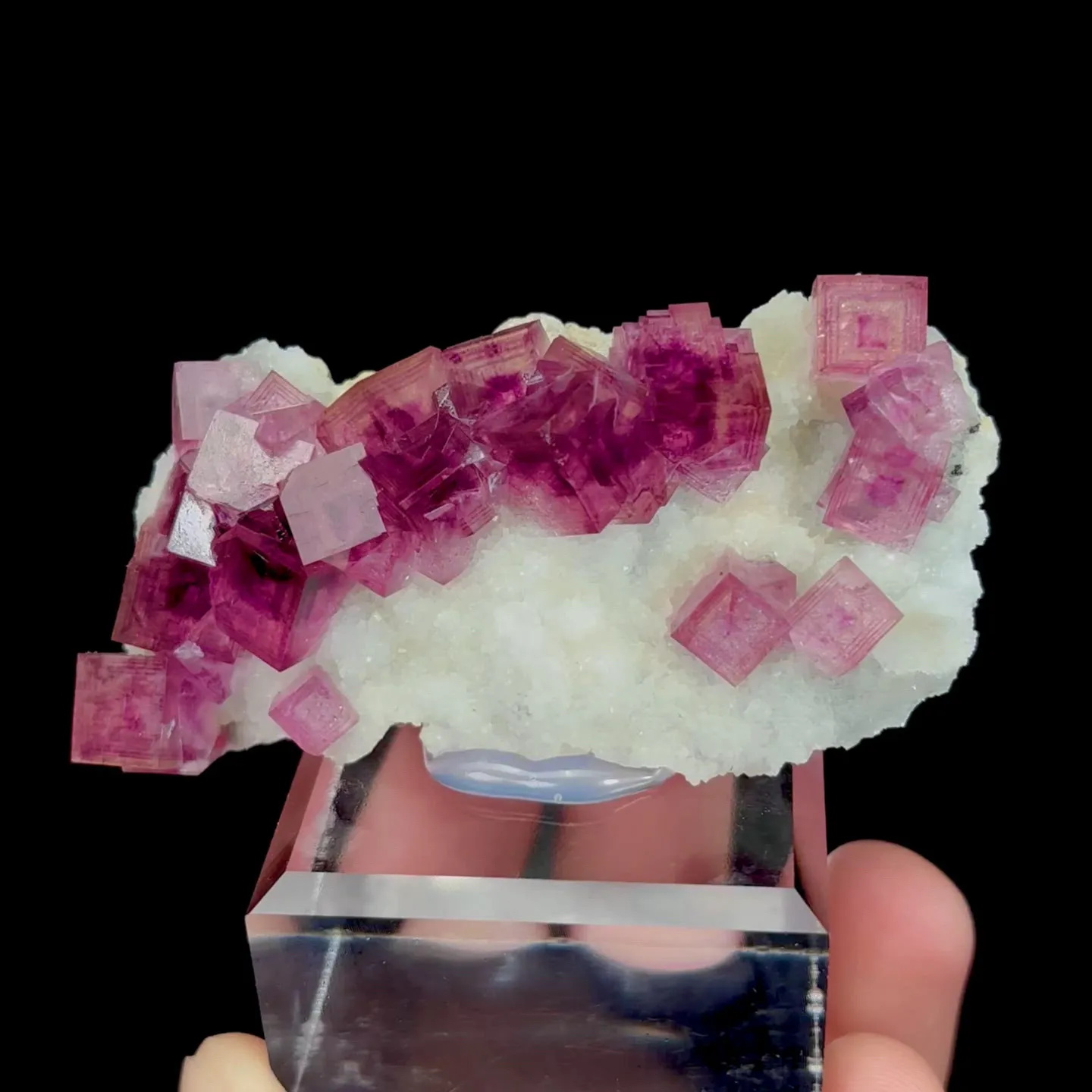 specimen video