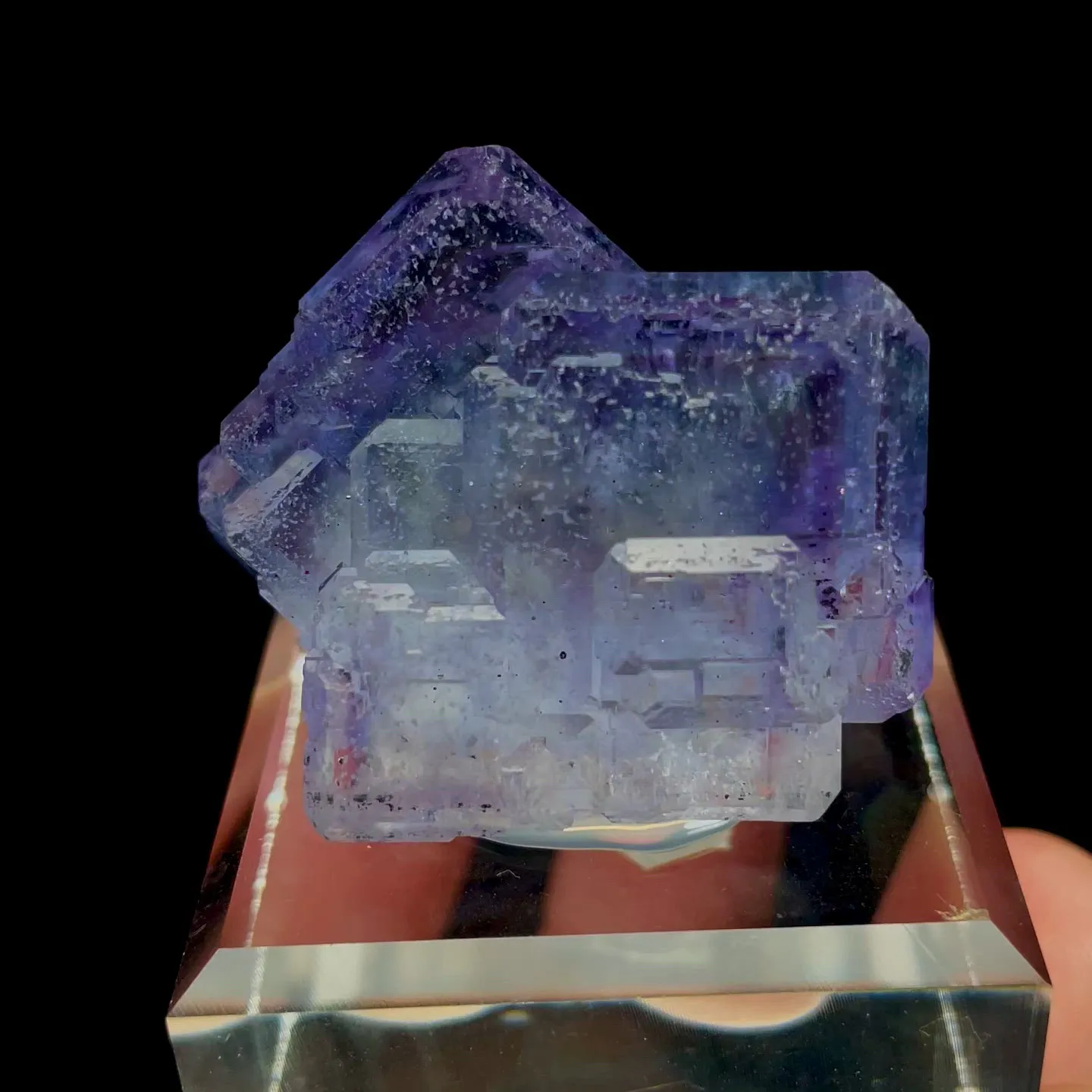 specimen video