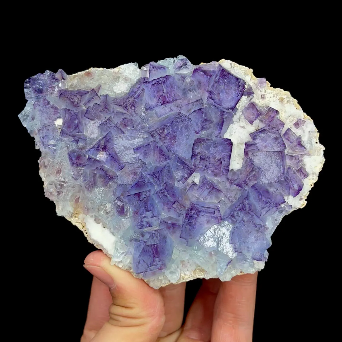 specimen video