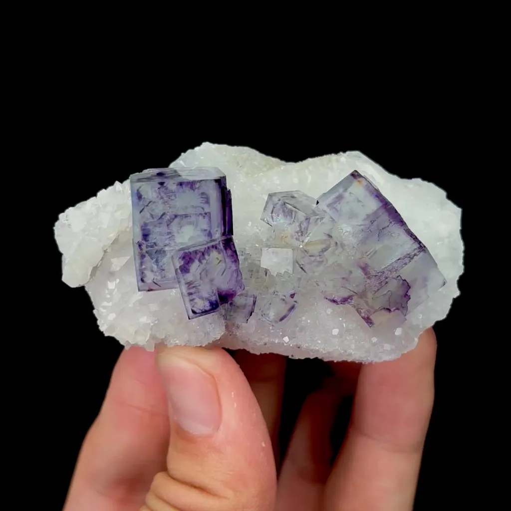 specimen video