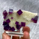 specimen video