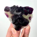 specimen video