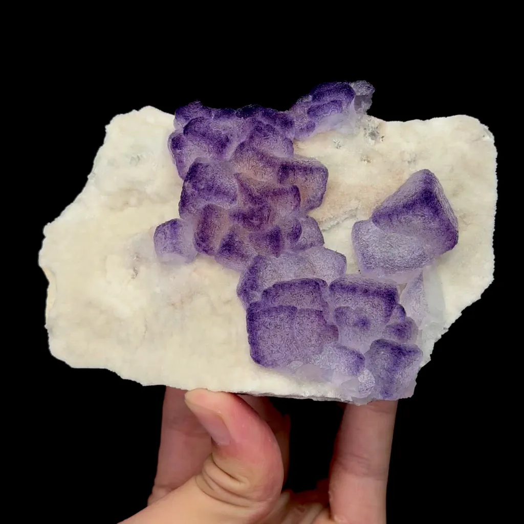 specimen video