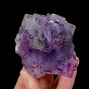 specimen video