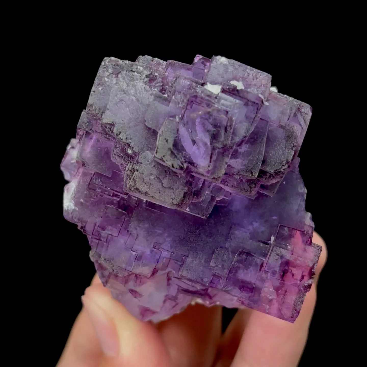 specimen video
