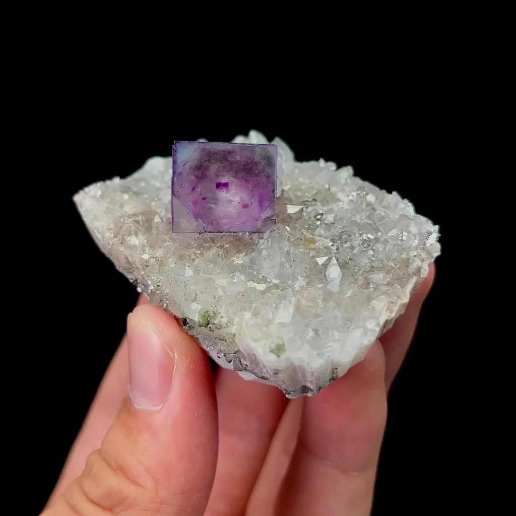 specimen video